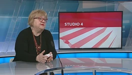 Anka Mrak Taritaš