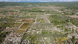 Satrogradsko polje pod zaštitom UNESCO-a 
