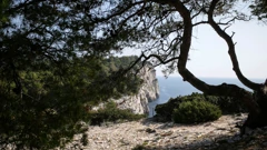 Telašćica