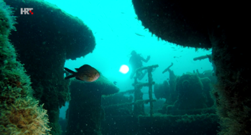 Atrakcija i opasnost - potonuli brodovi sa zaostalom naftom 