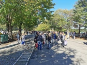Centralno groblje, Foto: Željko Kovačević/Radio Osijek