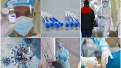 Koronavirus