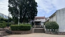 Hrast medunac ispred OŠ Kostrena