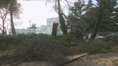 Posljedice nevremena u Novigradu , Foto: HTV/HRT