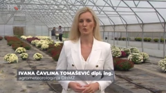 Ivana Čavlina Tomaševiić, Foto: Plodovi zemlje/HRT