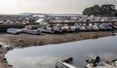 Velika oseka u lučici Valbandon, Foto: Srecko Niketic/PIXSELL