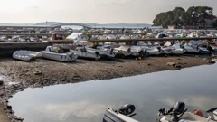 Velika oseka u lučici Valbandon