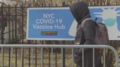 Cijepljenje u New Yorku, Foto: Dnevnik/IMS/HRT