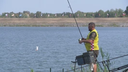 Svjetsko prvenstvo u ribolovu šarana