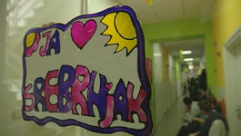 DB Srebrnjak