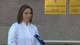 Tatjana Nemeth Blažić