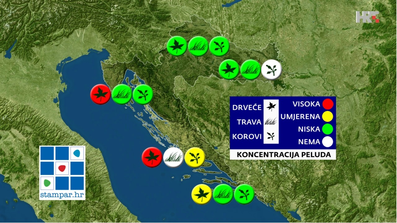 peludna  prognoza NZJZ-a, Foto: HRT/HRT