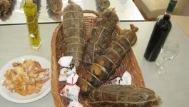 Ninski šokol (Foto: mint.hr)