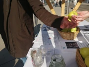 Hrvatski dan nepušenja, Foto: Željko Kovačević/HRT