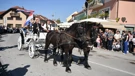Horse-drawn carriage