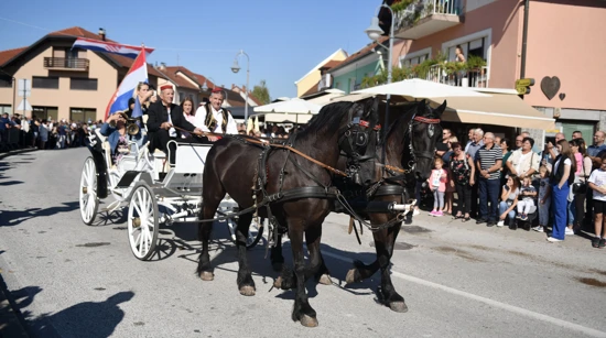 Horse-drawn carriage