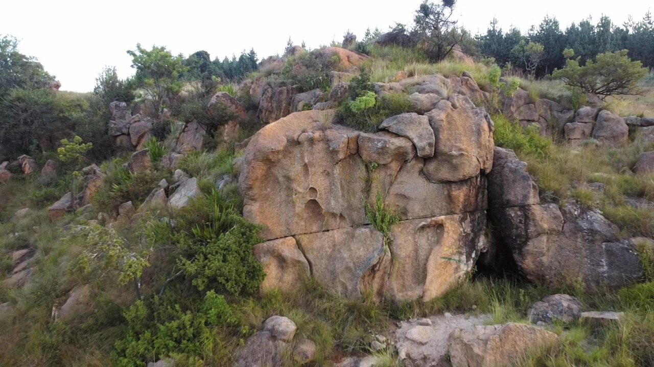 Utorak, 25. studenoga na Drugom