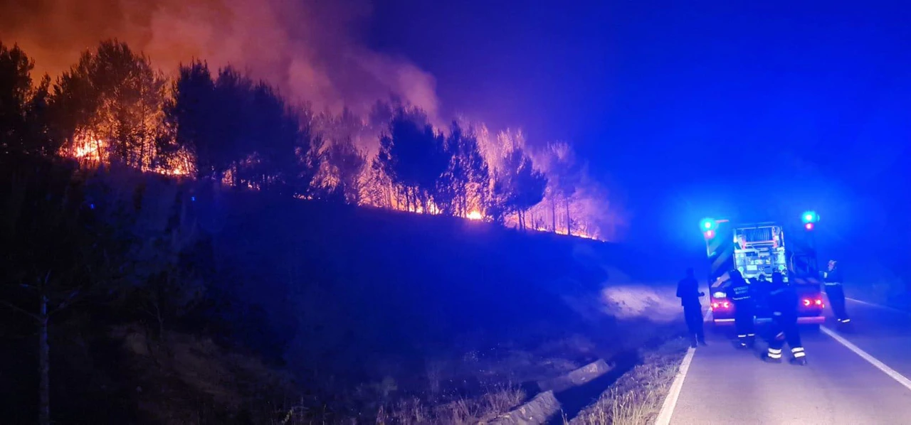 Požar kod Skradina, Foto: -/Matija Bajsić