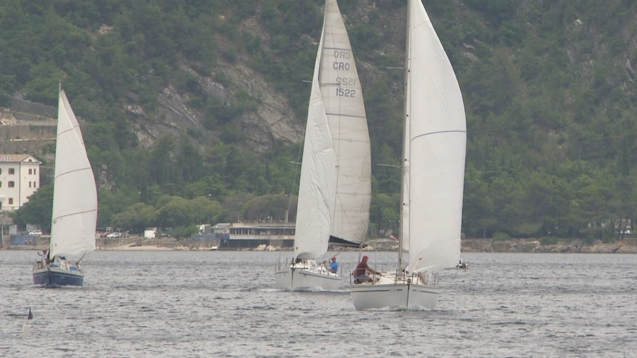 Opatijska regata, Foto: Željka Lopac/Regionalni dnevnik/HRT