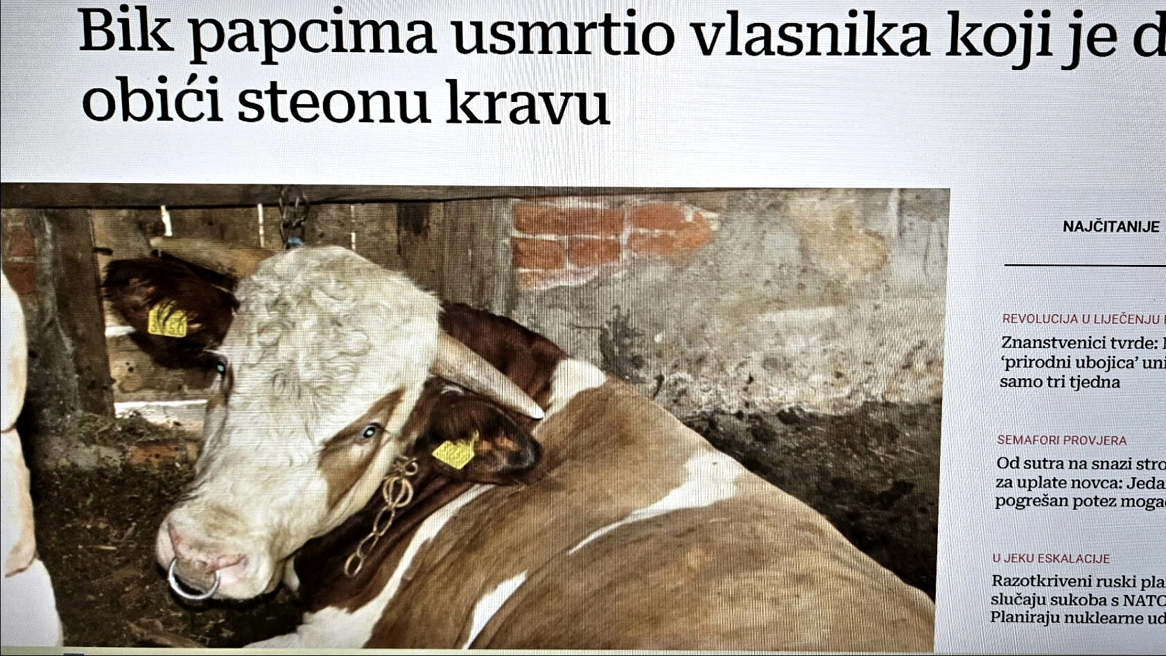 Bikovi ne praštaju: Kako prepoznati opasnost i izbjeći tragediju