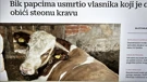Ilustracija