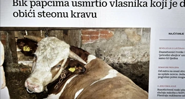 Ilustracija