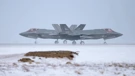 Norveški F-35