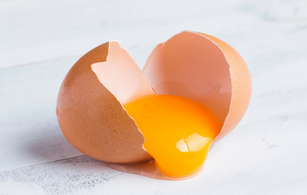 shutterstock 2455989279 20240902145049