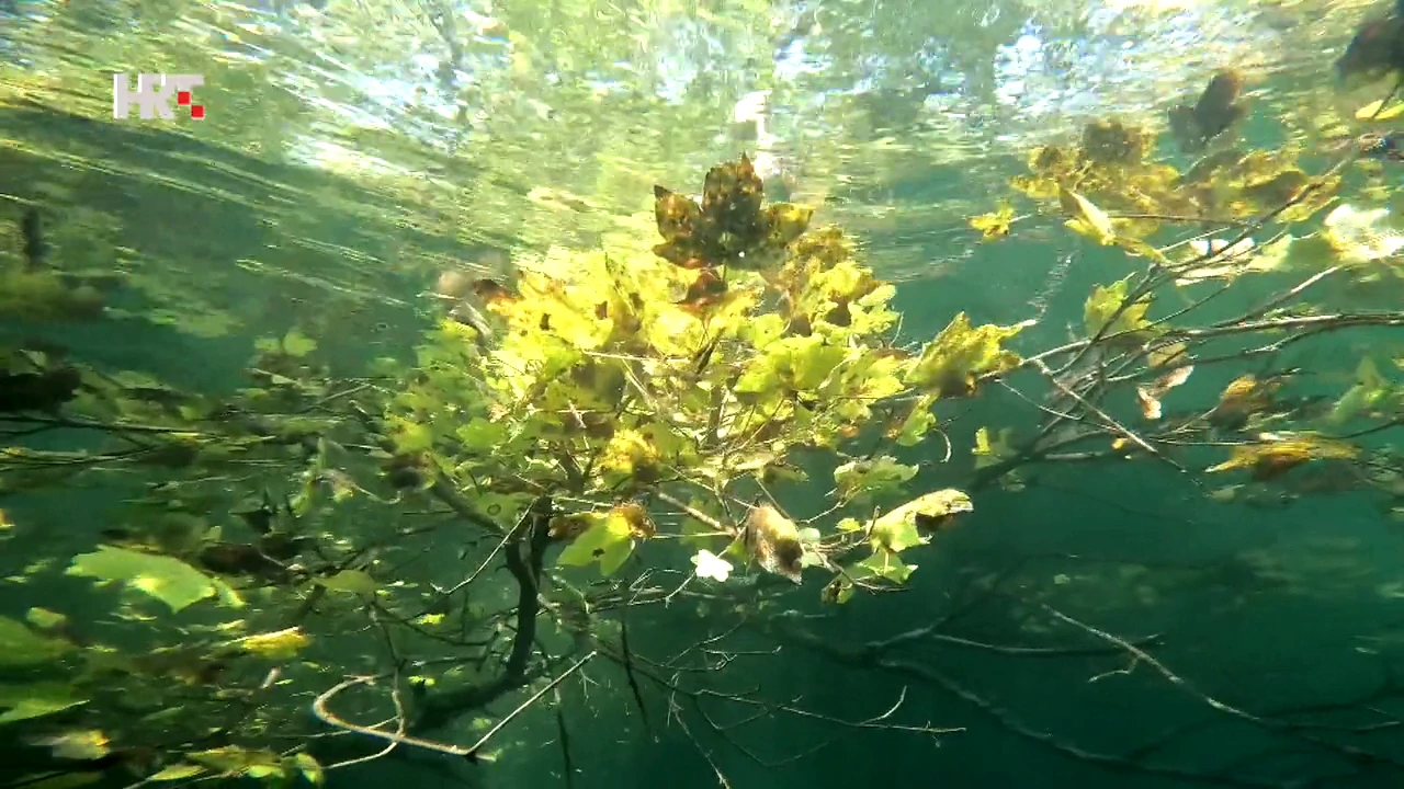Jezero Ponikve