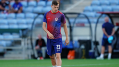 Luka Sučić
