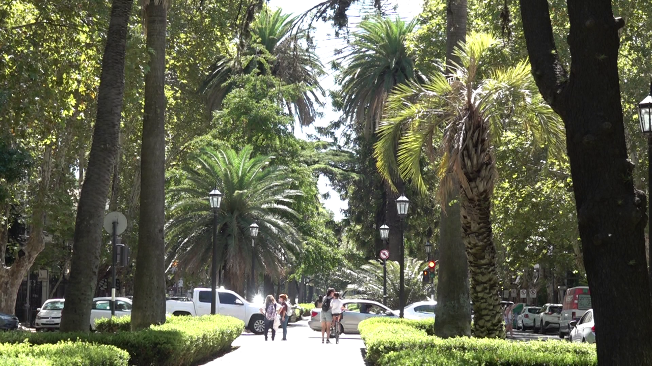 Rosario , Foto: Matija Jerković//