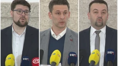 Peđa Grbin, Božo Petrov i Marijan Pavliček