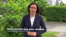 Petra Sviličić