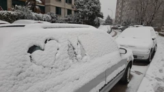 Volimo ovakve potpise, Foto: Tatjana Sandalj/Radio Rijeka