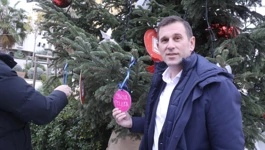 Tomislav Šuta okitio bor Puljkovim predizbornim obećanjima