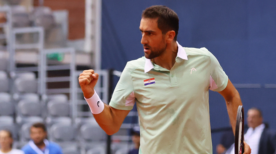 Marin Čilić