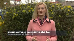Ivana Čavlina Tomašević, Foto: Plodovi zemlje/HRT