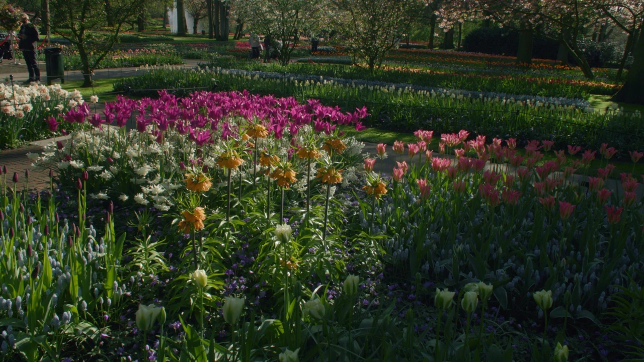 Nedjelja, 1. veljače na Prvom, Foto: Vrtlarica/6. sezona emisije
