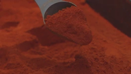 Začinska paprika
