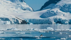 Topljenje Antarktike približava točki bez povratka