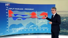 Zoran Vakula