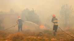 Vatrogasci se i dalje bore s požarom kod Skradina