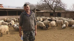 Goran Brkić