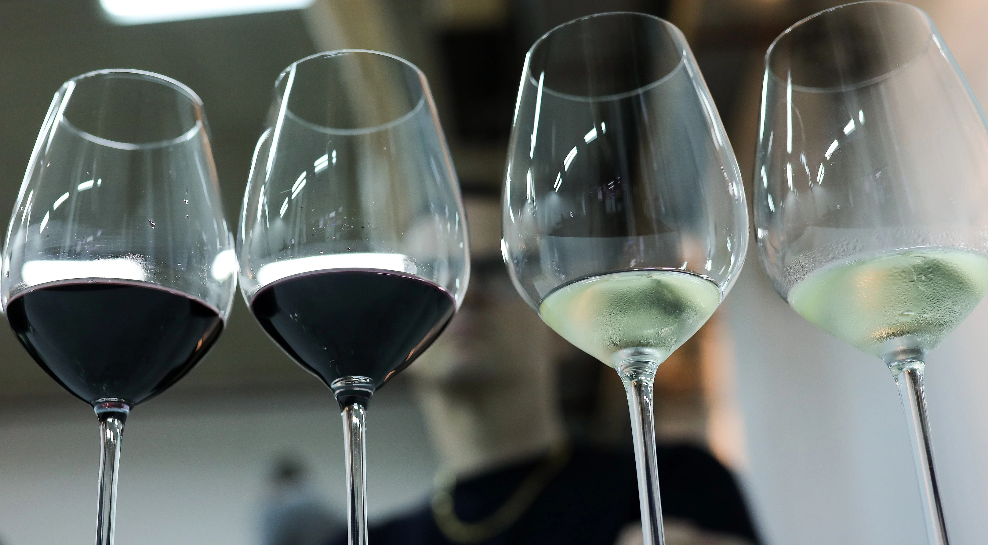 Prodaja kontinentalnih vina ruši sve rekorde prodaje na Jadranu