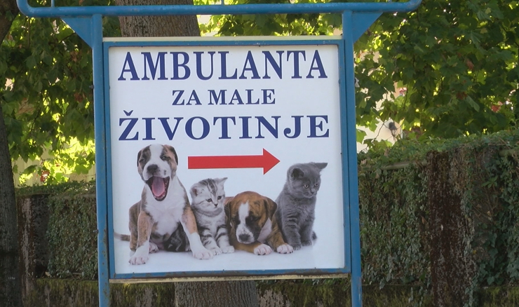 Neizvjesna budućnost malih veterinarskih ambulanti, stočari nezadovoljni
