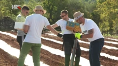 Pioniri plantažnog uzgoja divljih šparoga