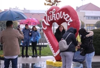 "Vukovar - mjesto posebnog domovinskog pijeteta", Foto: Emica Elvedji/PIXSELL