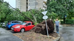 Nevrijeme u Zagrebu, Foto: Dejan Škvorc/HRT