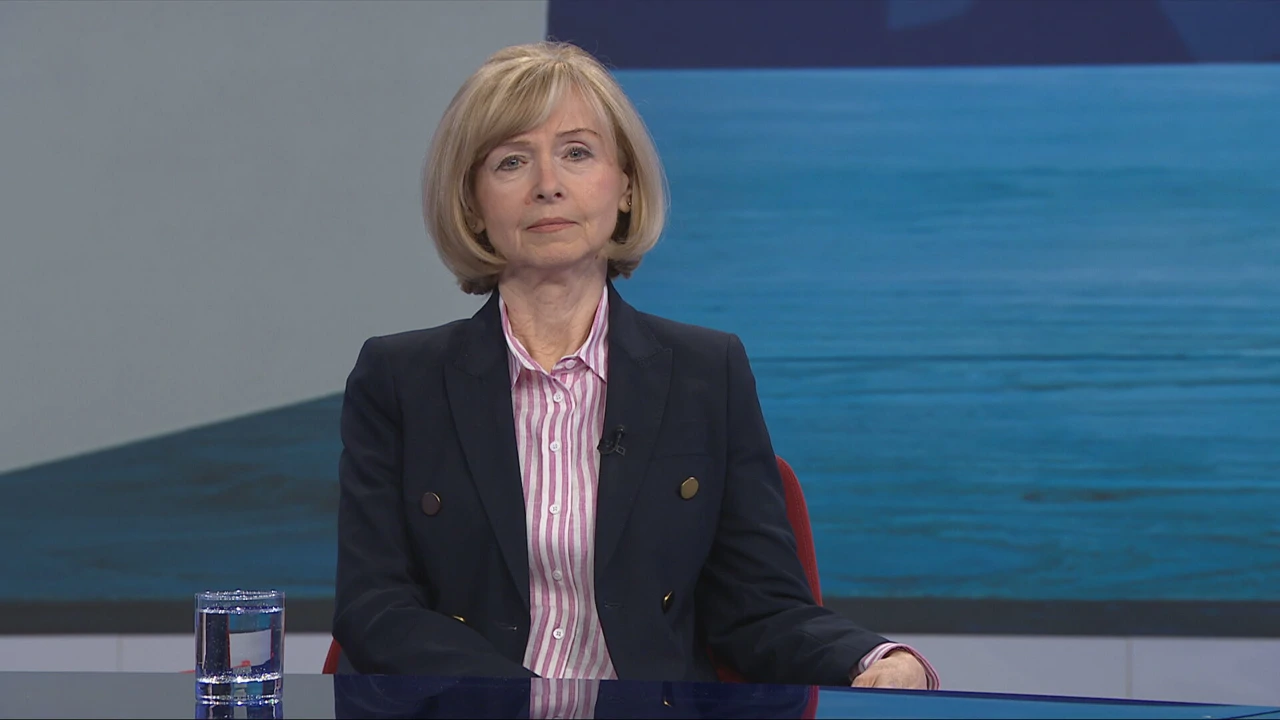 Smiljana Leinert-Novosel, komunikacijska stručnjakinja, Foto: HTV/HRT