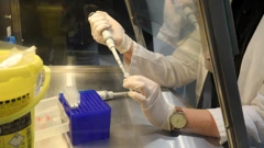WHO: Laboratorij kao izvor pandemije smatra se iznimno malo vjerojatnim